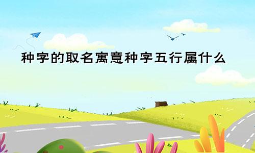 种字的取名寓意种字五行属什么