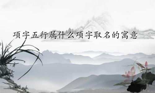 项字五行属什么项字取名的寓意