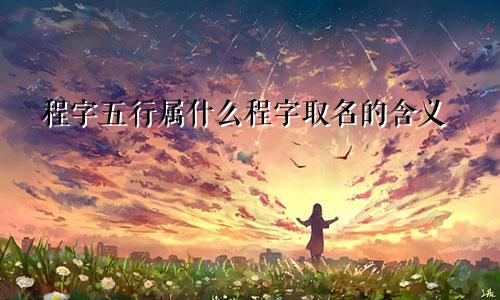 程字五行属什么程字取名的含义