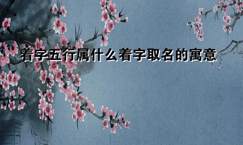 着字五行属什么着字取名的寓意