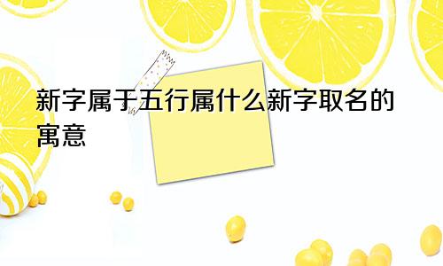 新字属于五行属什么新字取名的寓意