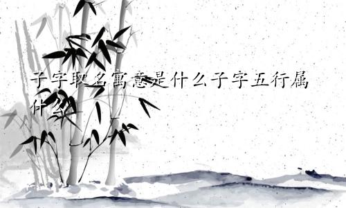 子字取名寓意是什么子字五行属什么