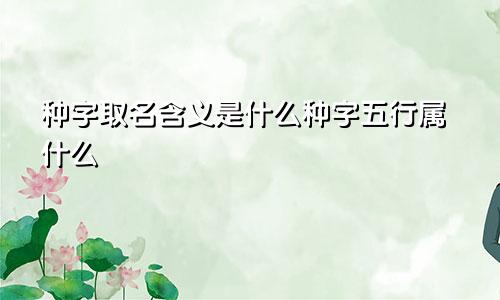 种字取名含义是什么种字五行属什么
