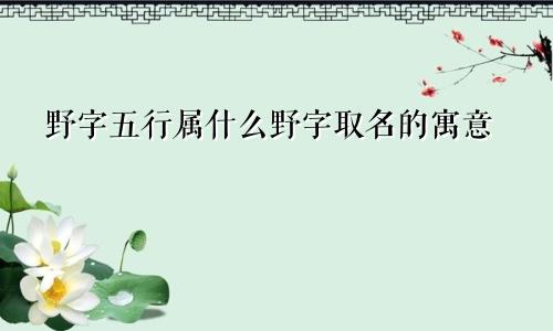 野字五行属什么野字取名的寓意