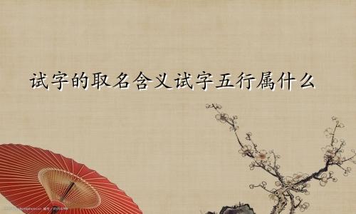 试字的取名含义试字五行属什么