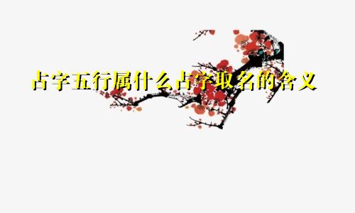 占字五行属什么占字取名的含义