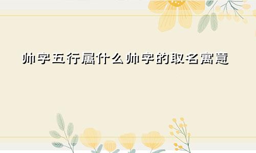 帅字五行属什么帅字的取名寓意