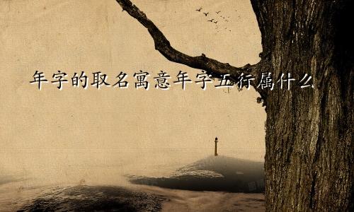 年字的取名寓意年字五行属什么