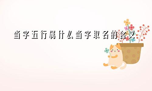 当字五行属什么当字取名的含义