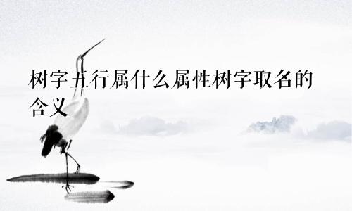树字五行属什么属性树字取名的含义