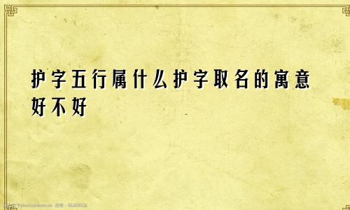 护字五行属什么护字取名的寓意好不好