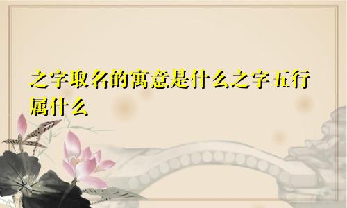 之字取名的寓意是什么之字五行属什么