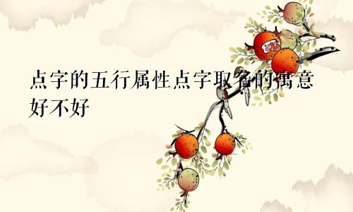 点字的五行属性点字取名的寓意好不好