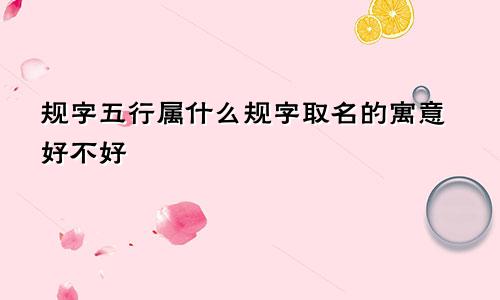 规字五行属什么规字取名的寓意好不好