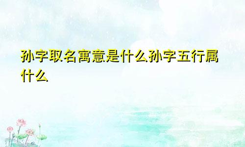 孙字取名寓意是什么孙字五行属什么