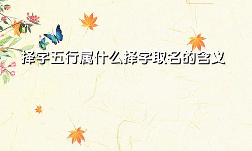 择字五行属什么择字取名的含义