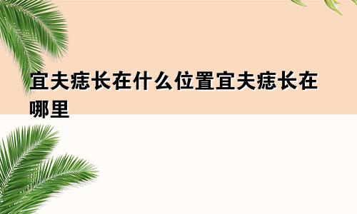 宜夫痣长在什么位置宜夫痣长在哪里