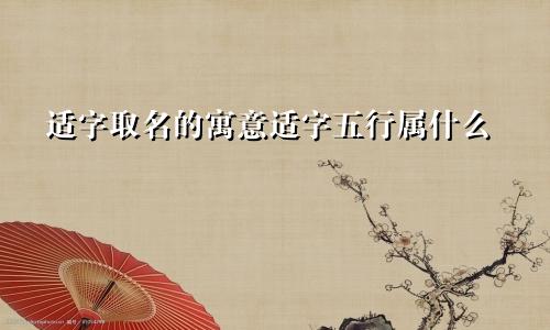 适字取名的寓意适字五行属什么