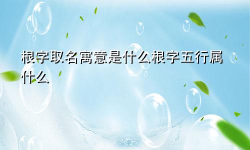 根字取名寓意是什么根字五行属什么