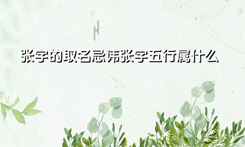 张字的取名忌讳张字五行属什么