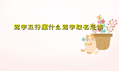 驾字五行属什么驾字取名忌讳