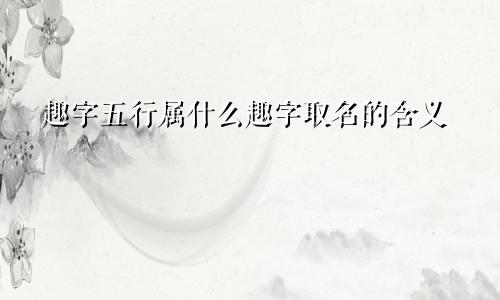 趣字五行属什么趣字取名的含义