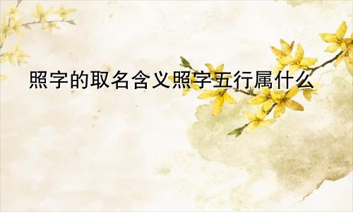 照字的取名含义照字五行属什么