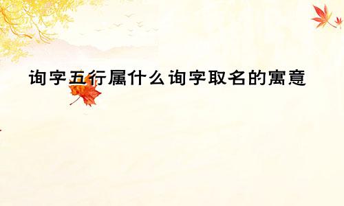 询字五行属什么询字取名的寓意