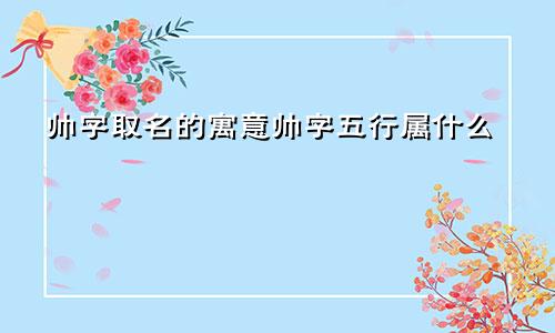 帅字取名的寓意帅字五行属什么