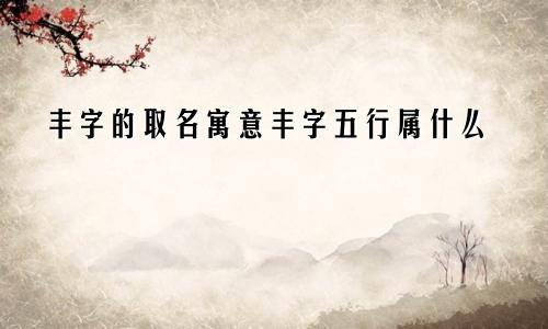 丰字的取名寓意丰字五行属什么