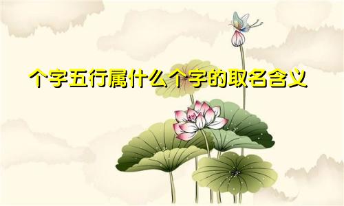 个字五行属什么个字的取名含义