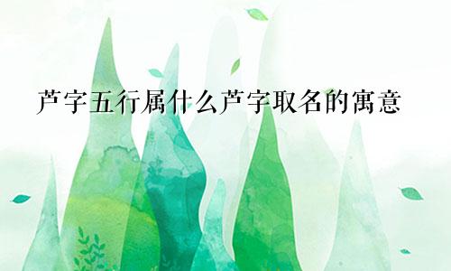 芦字五行属什么芦字取名的寓意