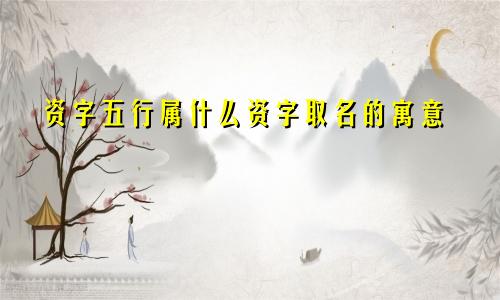 资字五行属什么资字取名的寓意