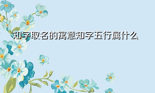 知字取名的寓意知字五行属什么