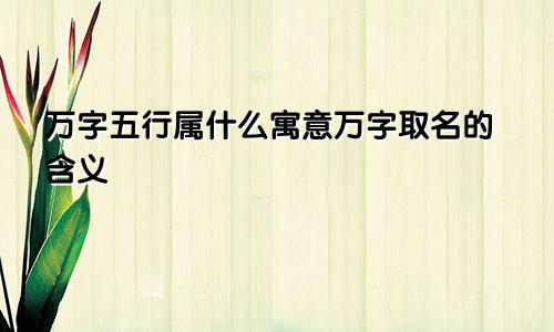 万字五行属什么寓意万字取名的含义