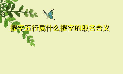 提字五行属什么提字的取名含义