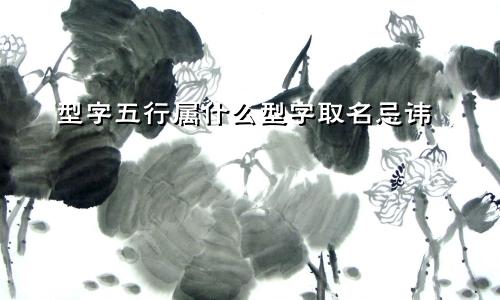 型字五行属什么型字取名忌讳