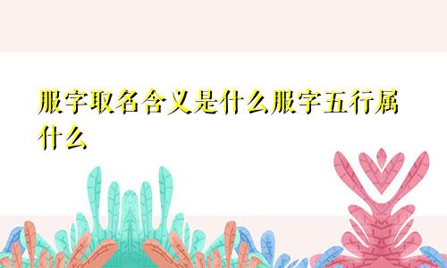 服字取名含义是什么服字五行属什么