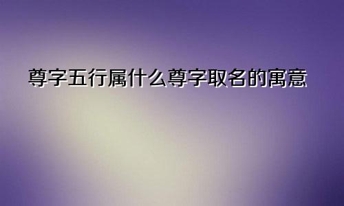 尊字五行属什么尊字取名的寓意