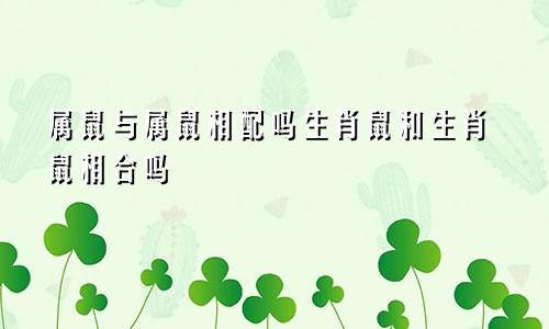 属鼠与属鼠相配吗生肖鼠和生肖鼠相合吗