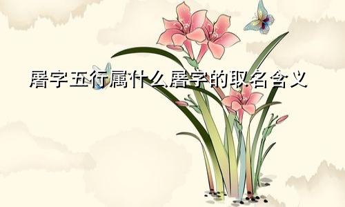 屠字五行属什么屠字的取名含义