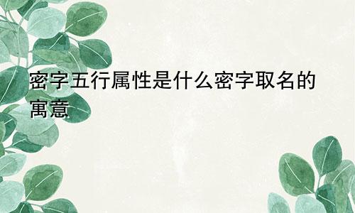 密字五行属性是什么密字取名的寓意