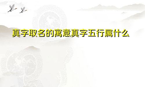 真字取名的寓意真字五行属什么
