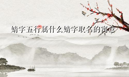 婧字五行属什么婧字取名的寓意