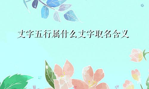 丈字五行属什么丈字取名含义