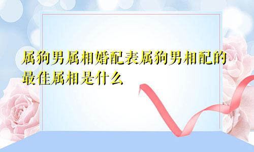 属狗男属相婚配表属狗男相配的最佳属相是什么