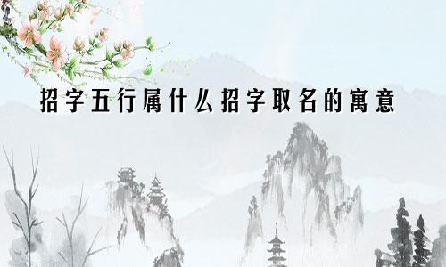 招字五行属什么招字取名的寓意