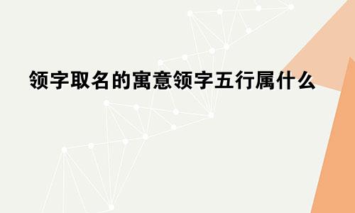 领字取名的寓意领字五行属什么