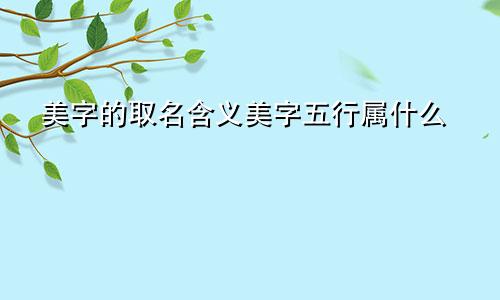 美字的取名含义美字五行属什么