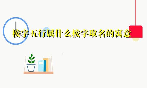 桉字五行属什么桉字取名的寓意